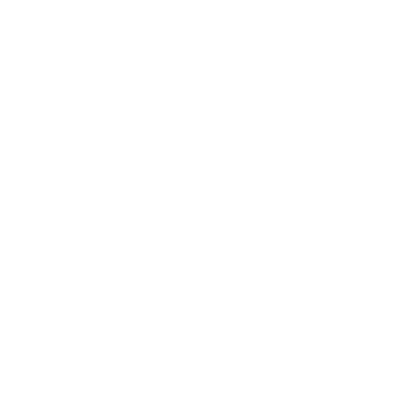 shield safety icon